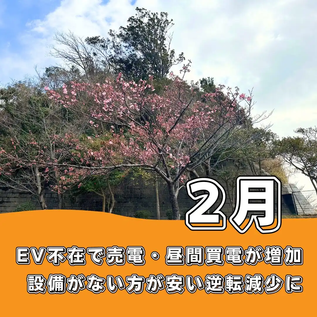 【2月の電気代】EV不在で売電・昼間電力が増加、設備がない方が安い逆転現象に